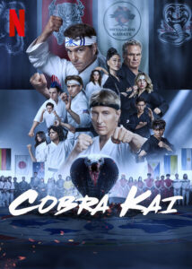 Cobra Kai (2024) S06 Dual Audio [Hindi-English] NetFlix WEB-DL H264 AAC 1080p 720p 480p ESub