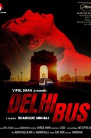 Delhi Bus (2024) Hindi HDTS x264 AAC 1080p 720p 480p Download