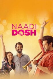 Naadi Dosh (2022) Gujarati WEB-DL H264 AAC 1080p 720p 480p Download