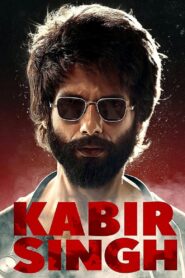 Kabir Singh (2019) Hindi WEB-DL H264 AAC 1080p 720p 480p ESub