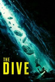 The Dive (2023) Dual Audio [Hindi-English] BluRay H264 AAC 1080p 720p 480p ESub