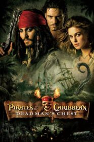 Pirates of the Caribbean 2 (2006) Dual Audio [Hindi-English] BluRay H264 AAC 1080p 720p 480p ESub