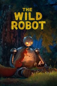 The Wild Robot (2024) Dual Audio [Hindi-English] WEB-DL H264 AAC 1080p 720p 480p ESub