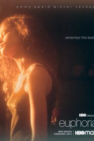 Euphoria (2022) S02 English AMZN WEB-DL H264 AAC 1080p 720p 480p ESub