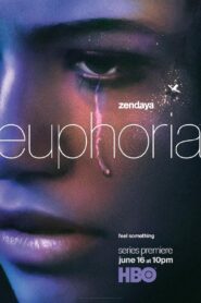 Euphoria (2019) S01 English AMZN WEB-DL H264 AAC 1080p 720p 480p ESub