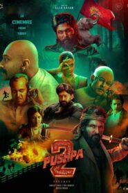 Pushpa 2 The Rule (2024) Dual Audio [Hindi-Telugu] HDTC H264 AAC 1080p 720p 480p Download