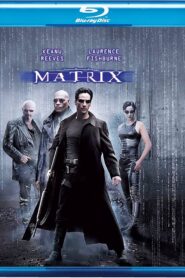 The Matrix 1 (1999) Dual Audio [Hindi-English] BluRay H264 AAC 1080p 720p 480p ESub