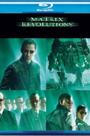 The Matrix 3 Revolutions (2003) Dual Audio [Hindi-English] BluRay H264 AAC 1080p 720p 480p ESub