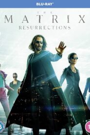 The Matrix 4 Resurrections (2021) Dual Audio [Hindi-English] BluRay H264 AAC 1080p 720p 480p ESub